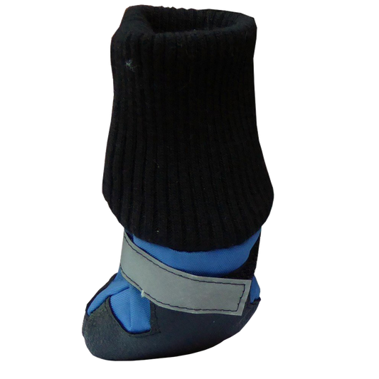 Botas para perros HDP