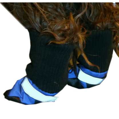 Botas para perros HDP