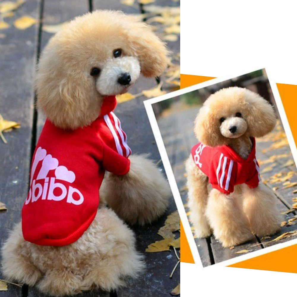 Zehui Suéter para perro y gato, camiseta para cachorros, sudaderas cálidas, abrigos, ropa y accesorios